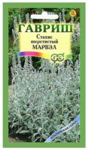 Стахис Марвэл шерстистый /Гавриш/ 0,05г