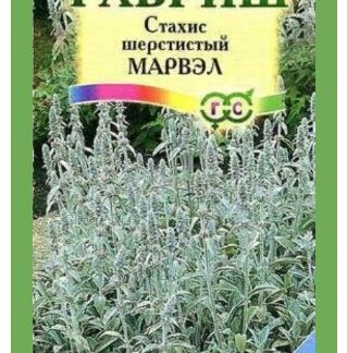 Стахис Марвэл шерстистый /Гавриш/ 0,05г