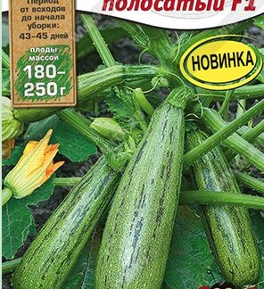 Кабачок цуккини Пони полосатый F1