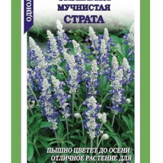 Сальвия Страта