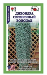 Дихондра Серебряный водопад