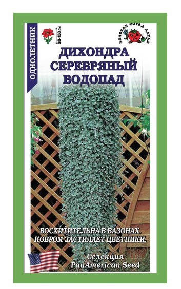 Дихондра Серебряный водопад