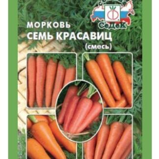 Морковь Семь Красавиц