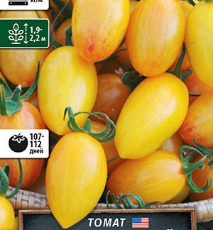 Томат Золото Амишей