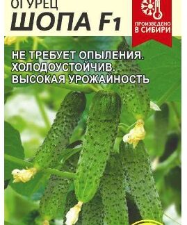 Огурец Шопа F1
