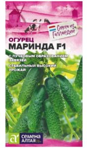 Огурец Маринда F1