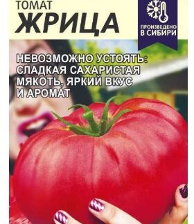 Томат Жрица