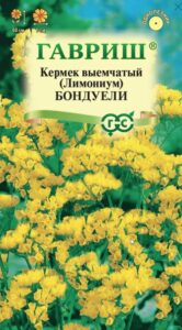 Лимониум (Кермек выемчатый) Бондуели