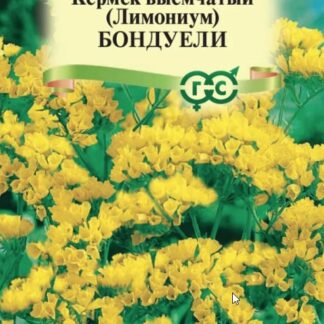 Лимониум (Кермек выемчатый) Бондуели