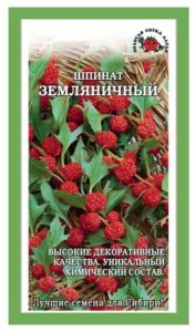 Шпинат Земляничный