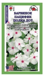 Барвинок Пацифик Полка Дот