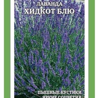 Лаванда Хидкот Блю