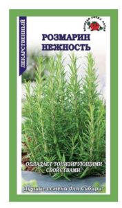 Розмарин Нежность