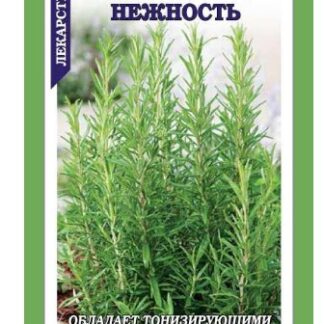 Розмарин Нежность