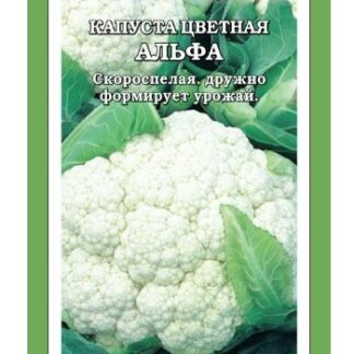 Капуста цветная Альфа