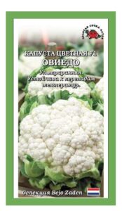 Капуста цветная Овиедо F1