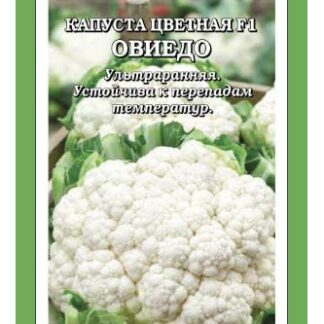 Капуста цветная Овиедо F1