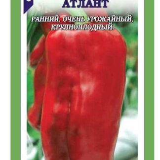 Перец Атлант