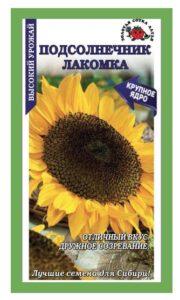 Подсолнечник Лакомка