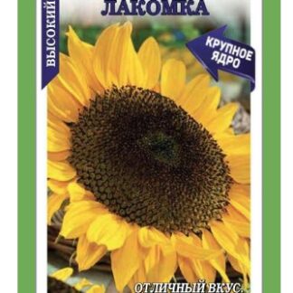 Подсолнечник Лакомка