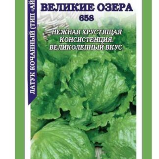 Салат Великие озера 658