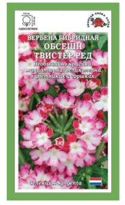 Вербена Обсешн Твистер Ред