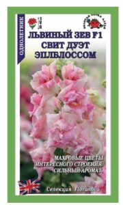 Львиный зев Свит Дуэт Эплблоссом