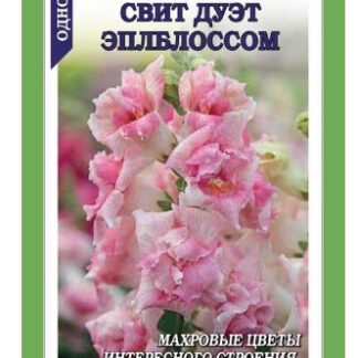 Львиный зев Свит Дуэт Эплблоссом