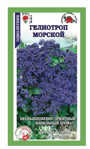 Гелиотроп Морской