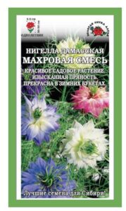 Нигелла Дамасская махровая смесь