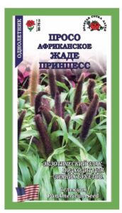 Просо Африкан Жаде Принцесс
