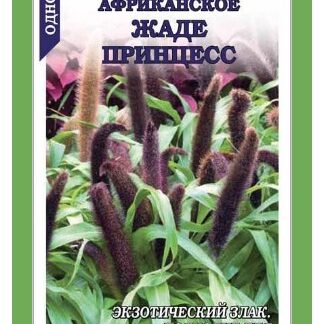 Просо Африкан Жаде Принцесс