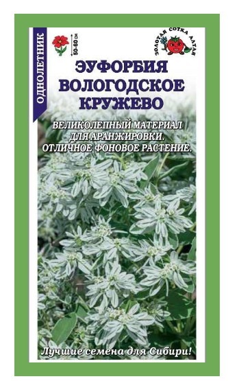 Эуфорбия Вологодское кружево