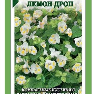 Торения Кауай Лемон Дроп