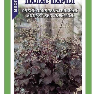 Гейхера Палас Парпл