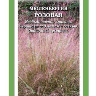 Мюленбергия Розовая