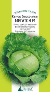 Капуста белокочанная Мегатон F1