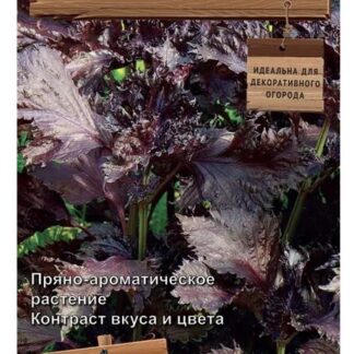 Перилла овощная Росинка