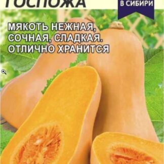 Тыква Важная Госпожа