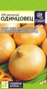 Лук Одинцовец