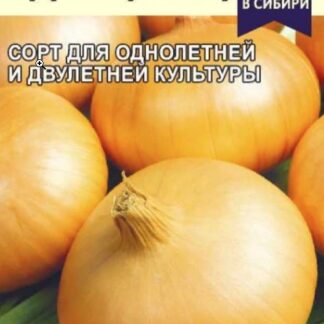 Лук Одинцовец