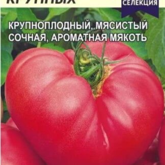 Томат Король Крупных