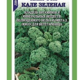 Капуста Кале зелёная листовая
