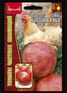Томат Курочка Ряба