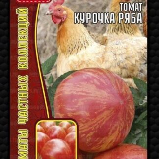 Томат Курочка Ряба