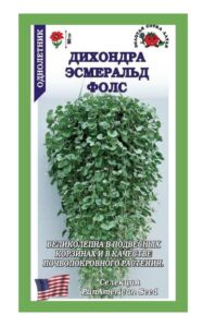 Дихондра Эсмеральд Фолс