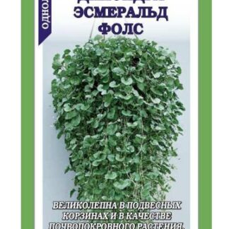 Дихондра Эсмеральд Фолс