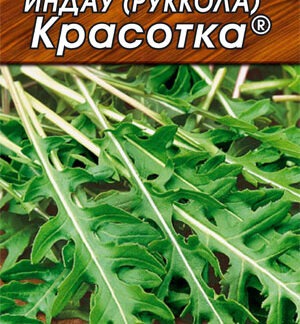 Индау (руккола) Красотка