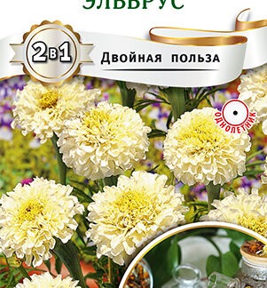 Бархатцы Эльбрус прямостоячие