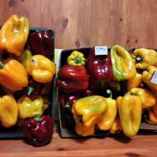 Перец от Романа желтый